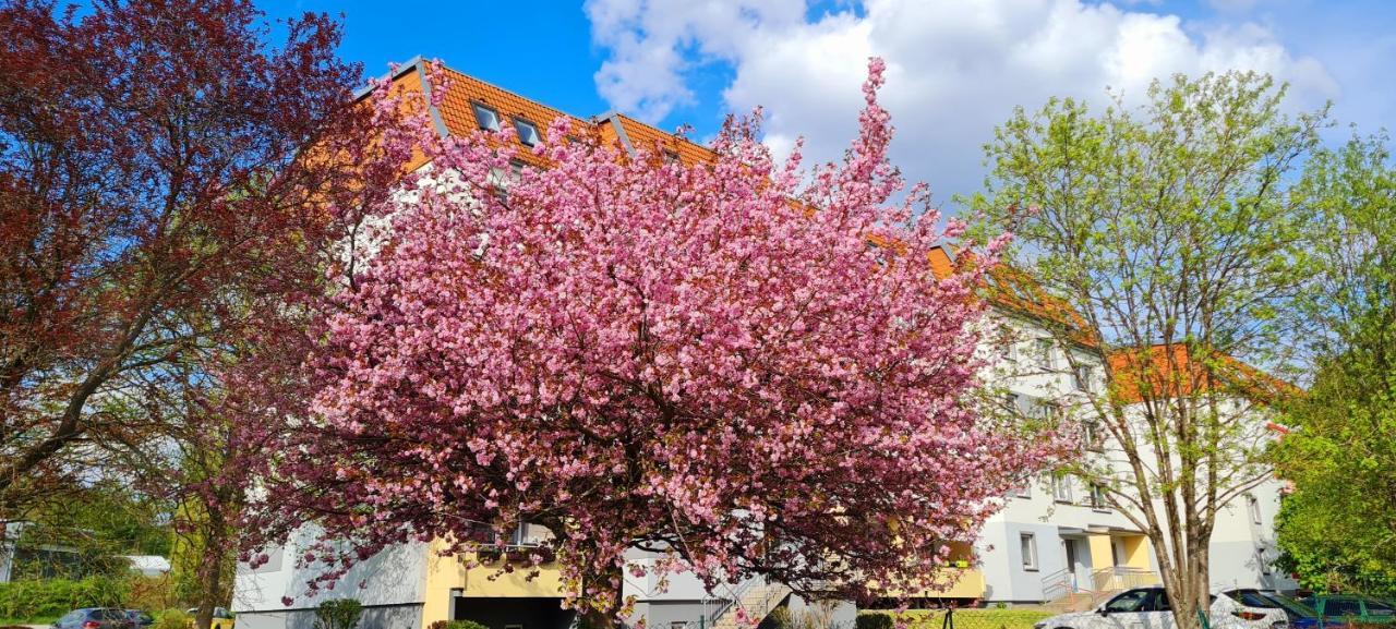 Moderne Wohlfuehlferienwohnung In Hildburghausen Esterno foto